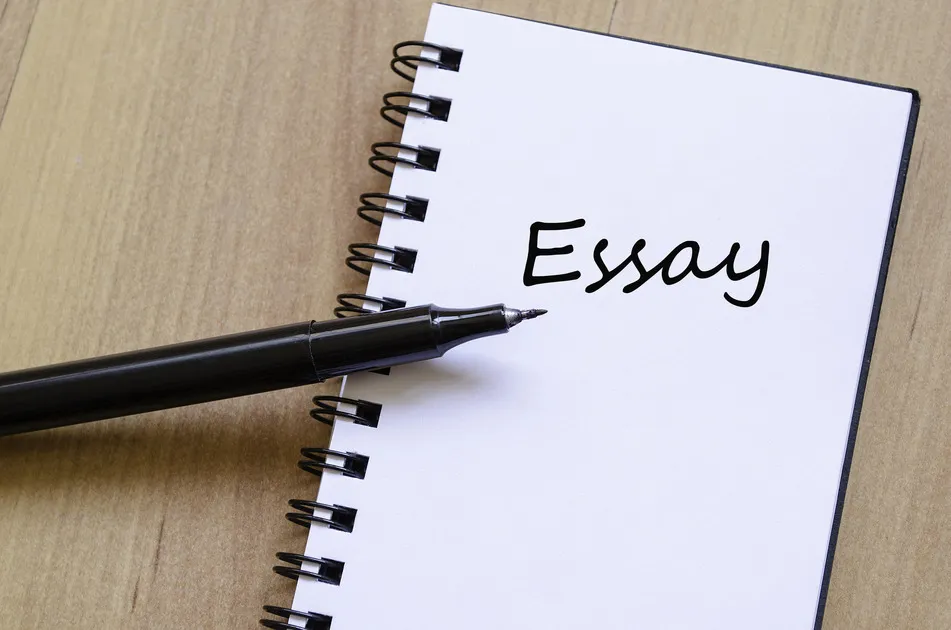 The Top Essay Writing Services